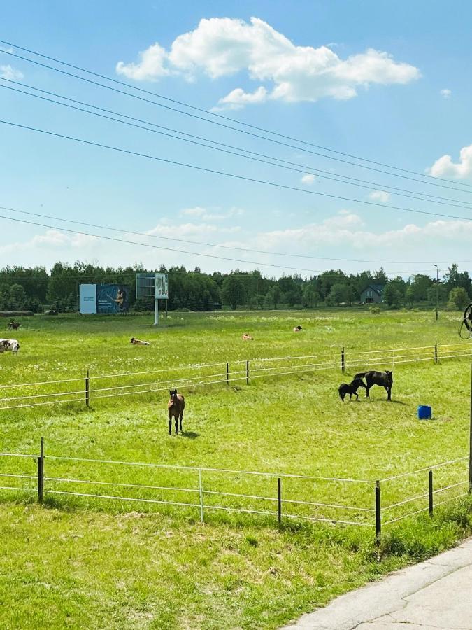 Apartament Dwupoziomowy Nad Tamami Закопане Екстер'єр фото